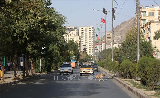 Cảnh vắng lặng trên đường phố Kabul, Afghanistan sau khi Taliban tuyên bố giành quyền kiểm soát quốc gia Tây Nam Á, ngày 15/8/2021.