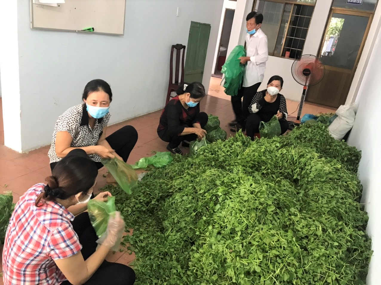 Cán bộ Hội Nông dân TP. Bà Rịa cùng các đoàn thể chuẩn bị rau xanh tặng cho các hộ trong khu cách ly.