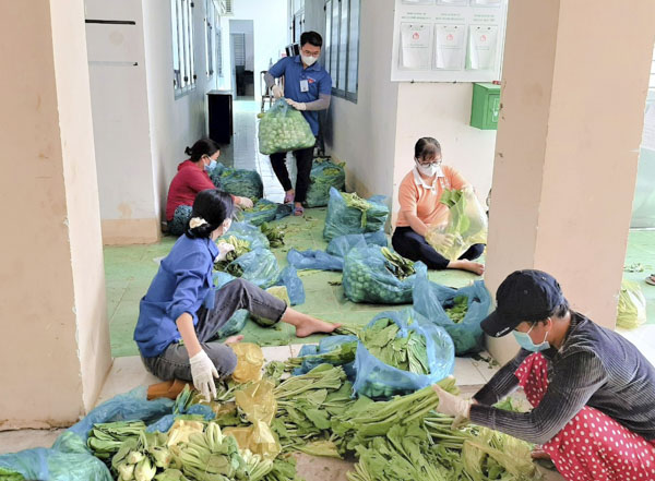 Các loại rau được lực lượng tình nguyện xã Bàu Lâm chia thành từng phần bằng nhau trao tặng bà con.