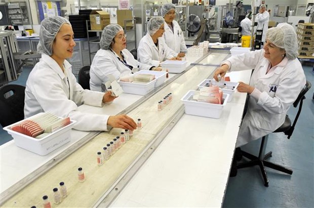 Công nhân làm việc trong dây chuyền sản xuất vắc xin tại cơ sở của Tập đoàn y tế Australia CSL ở Melbourne (Australia).