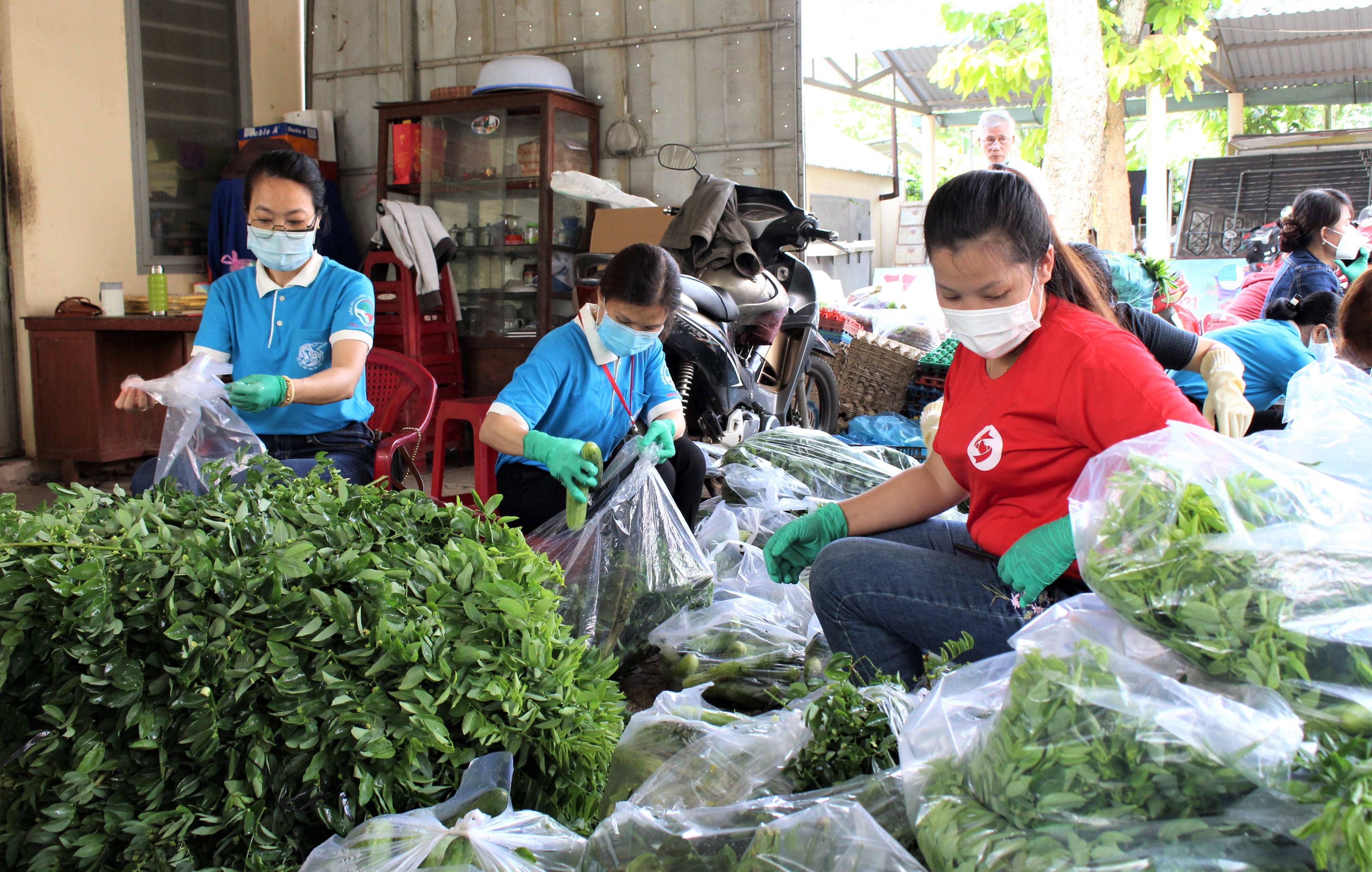 Cán bộ, hội viên hội LHPN huyện Châu Đức phân loại rau và trứng để hỗ trợ người khó khăn ở TT. Long Hải, huyện Long Điền.