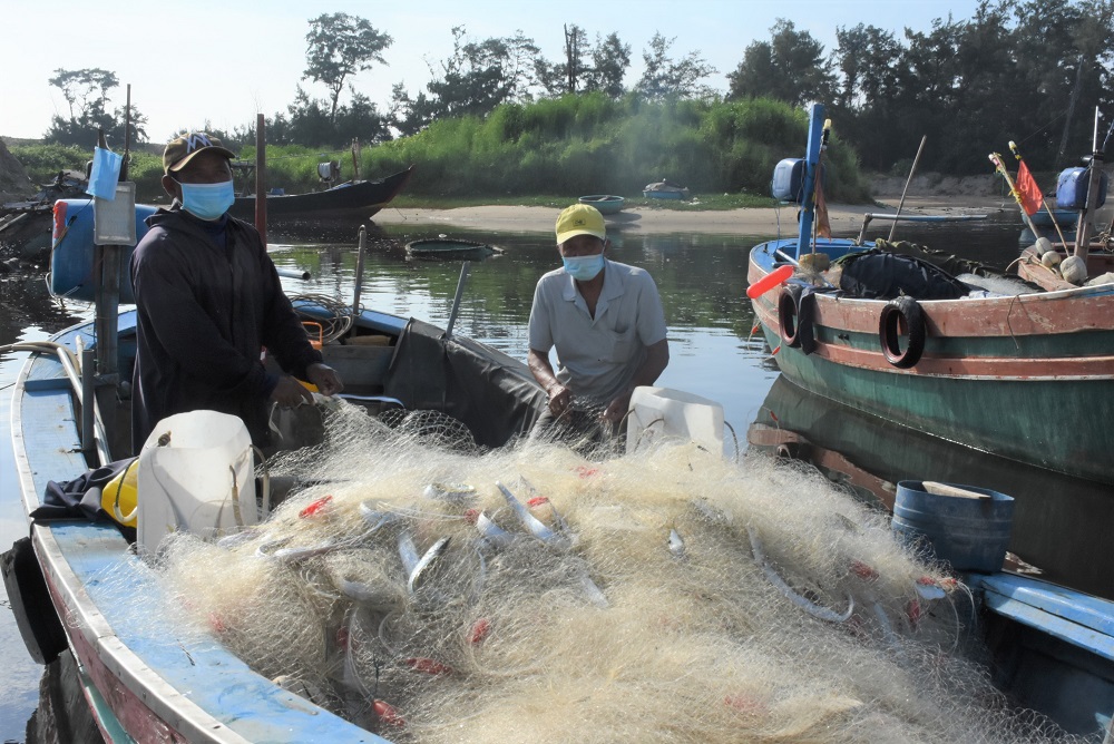 Ngư dân xã Bình Châu phấn khởi thu hoạch cá sau chuyến đi biển sáng 20/9.