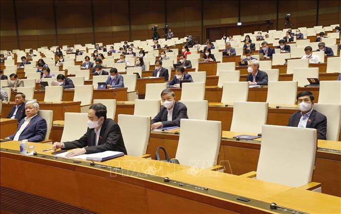 Đại biểu Quốc hội dự phiên họp sáng 24/10. Ảnh: TTXVN