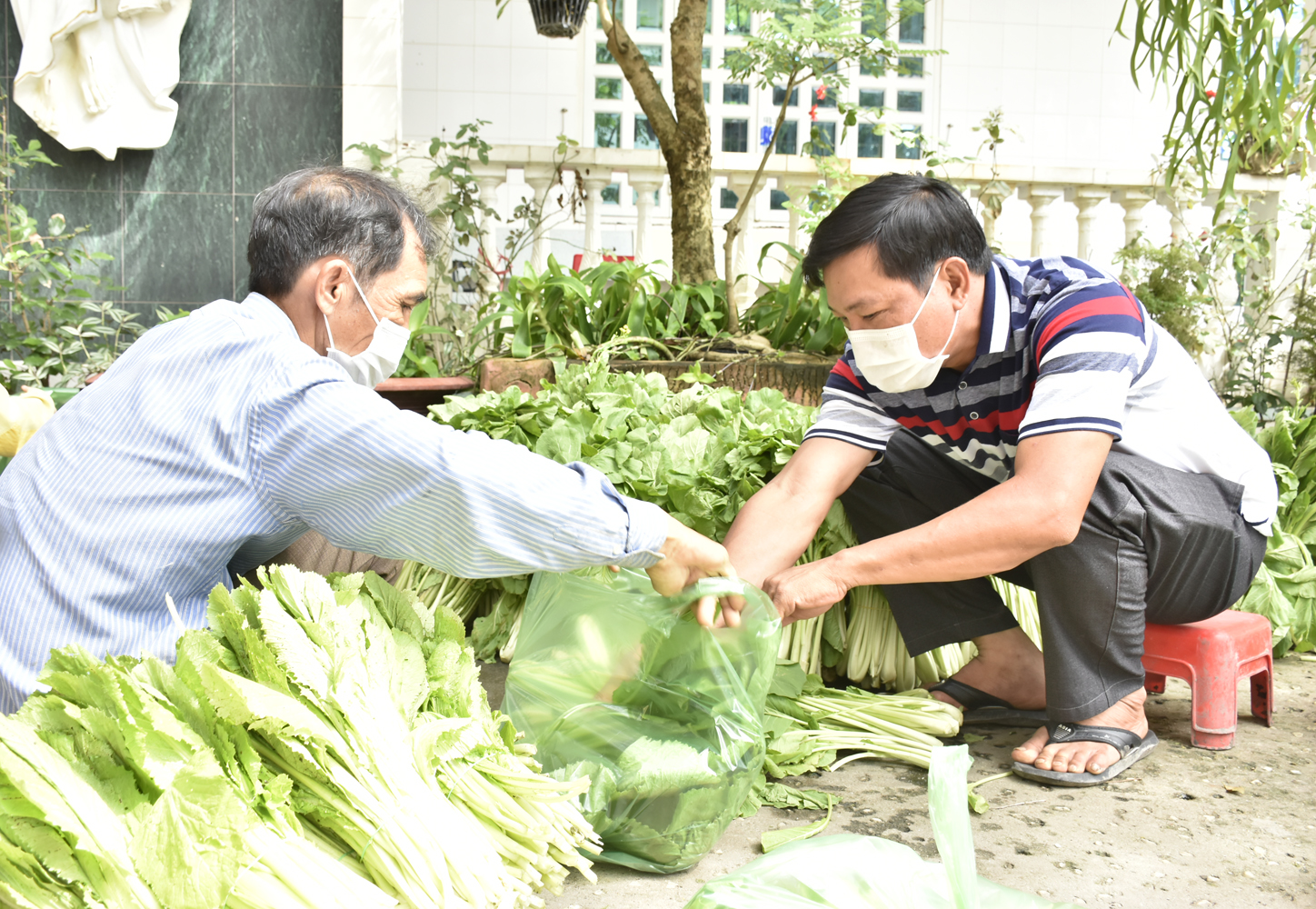 Linh mục Giuse Trần Văn Nghĩa (phải) phân loại rau để phát cho bà con.