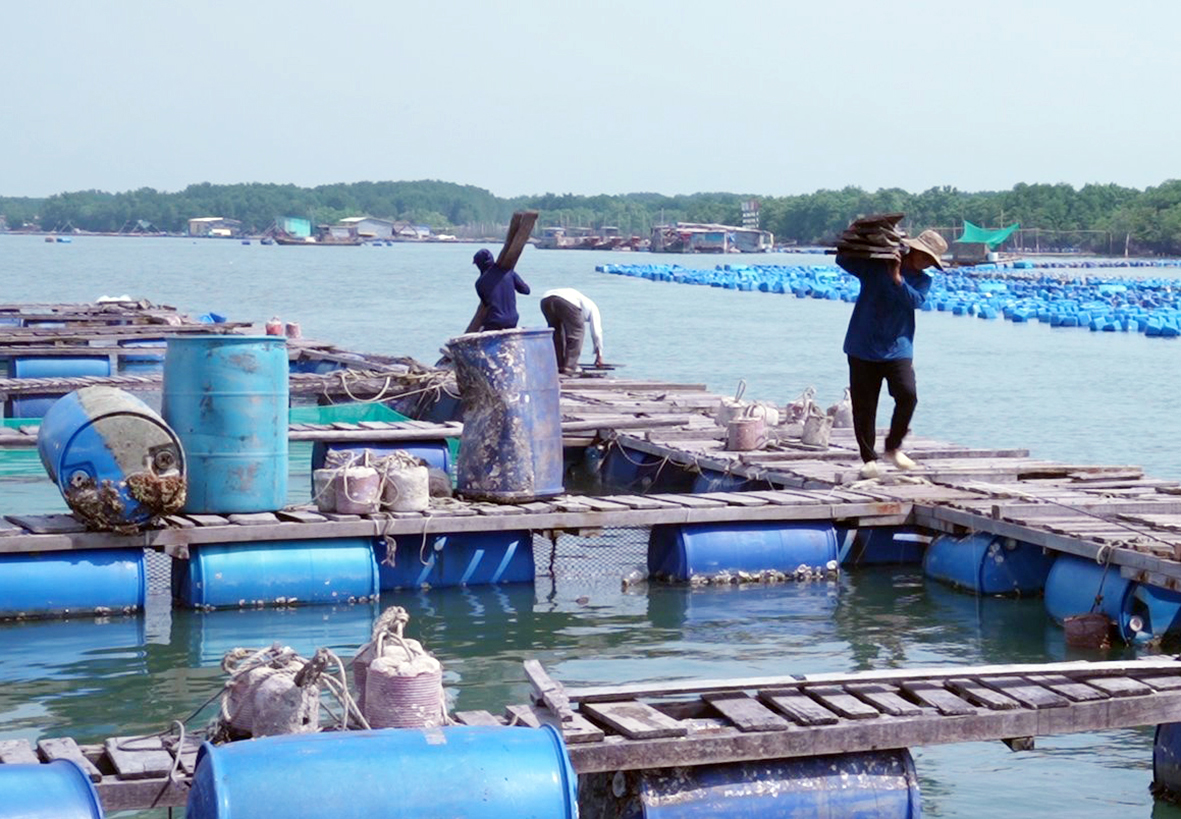 Bè ông Lê Ngọc Châu, xã Tân Hòa, TX.Phú Mỹ đang gấp rút tháo gỡ.