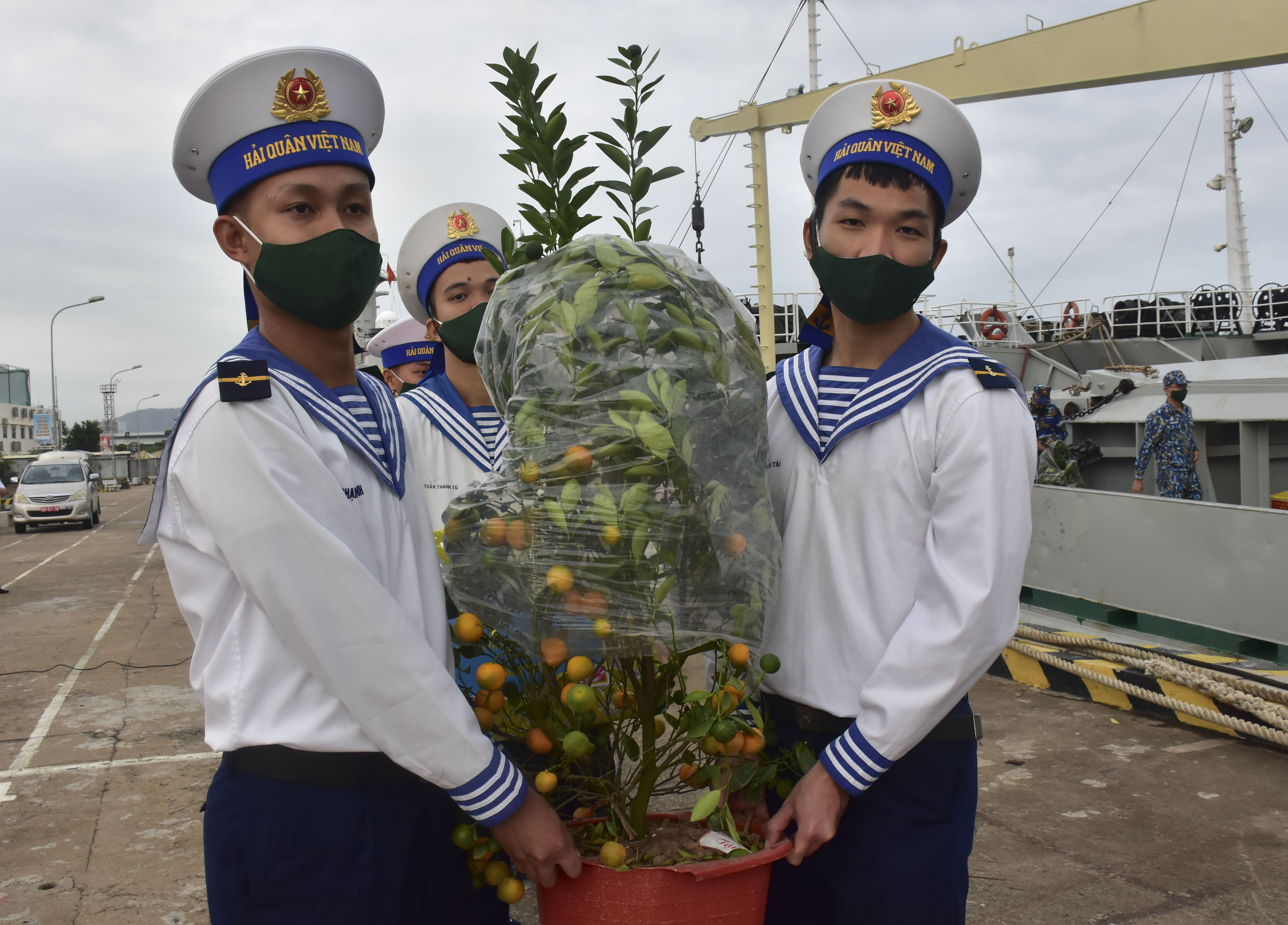 Chiến sĩ Vùng 2 Hải quân vận chuyển cây quất lên tàu.