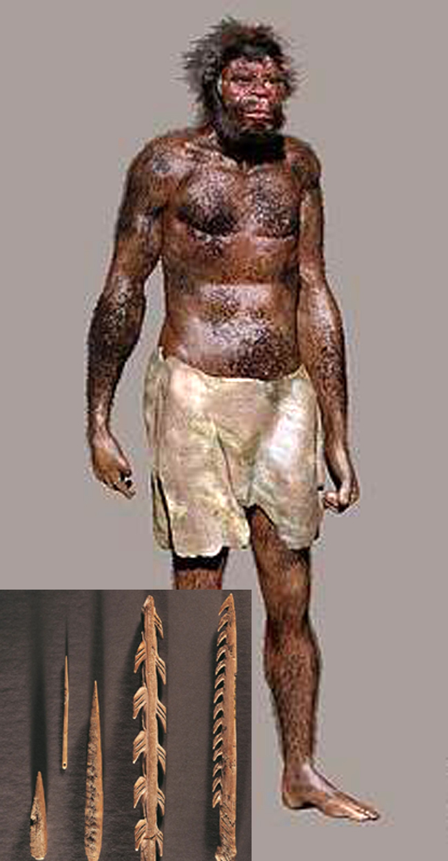 Dựa trên bộ xương cơ thể và hộp sọ, các nhà nhân chủng học dựng lại hình dáng của người Homo Sapien (ảnh nhỏ): Mũi lao, giáo và kim khâu làm từ xương voi ma mút của người Homo Sapien.