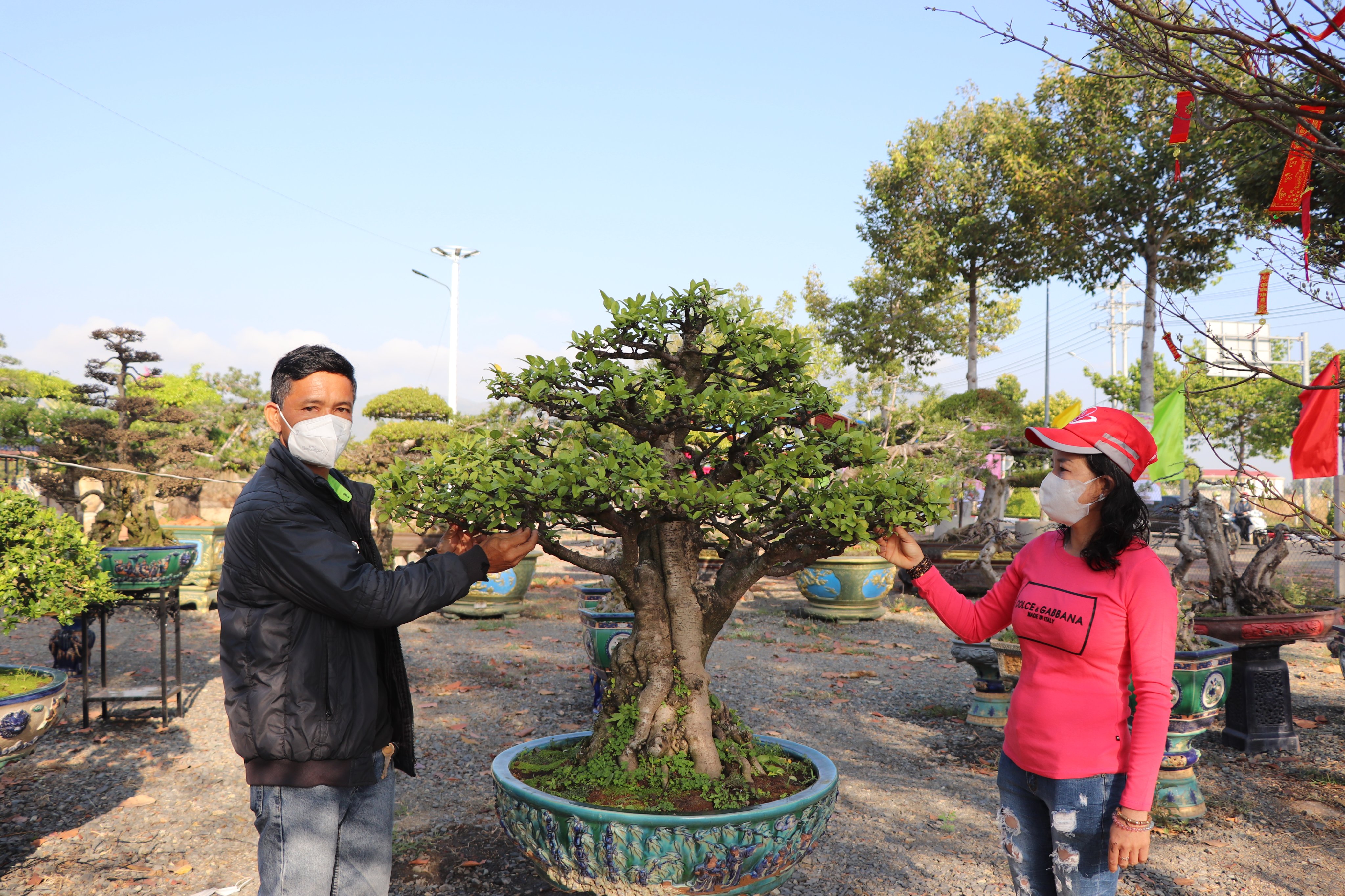 Khách tham quan, thưởng lãm bonsai tại triển lãm.  Ảnh: ĐINH HÙNG
