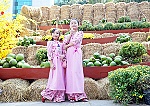 Người phụ nữ xứ biển đam mê bất tận với áo dài