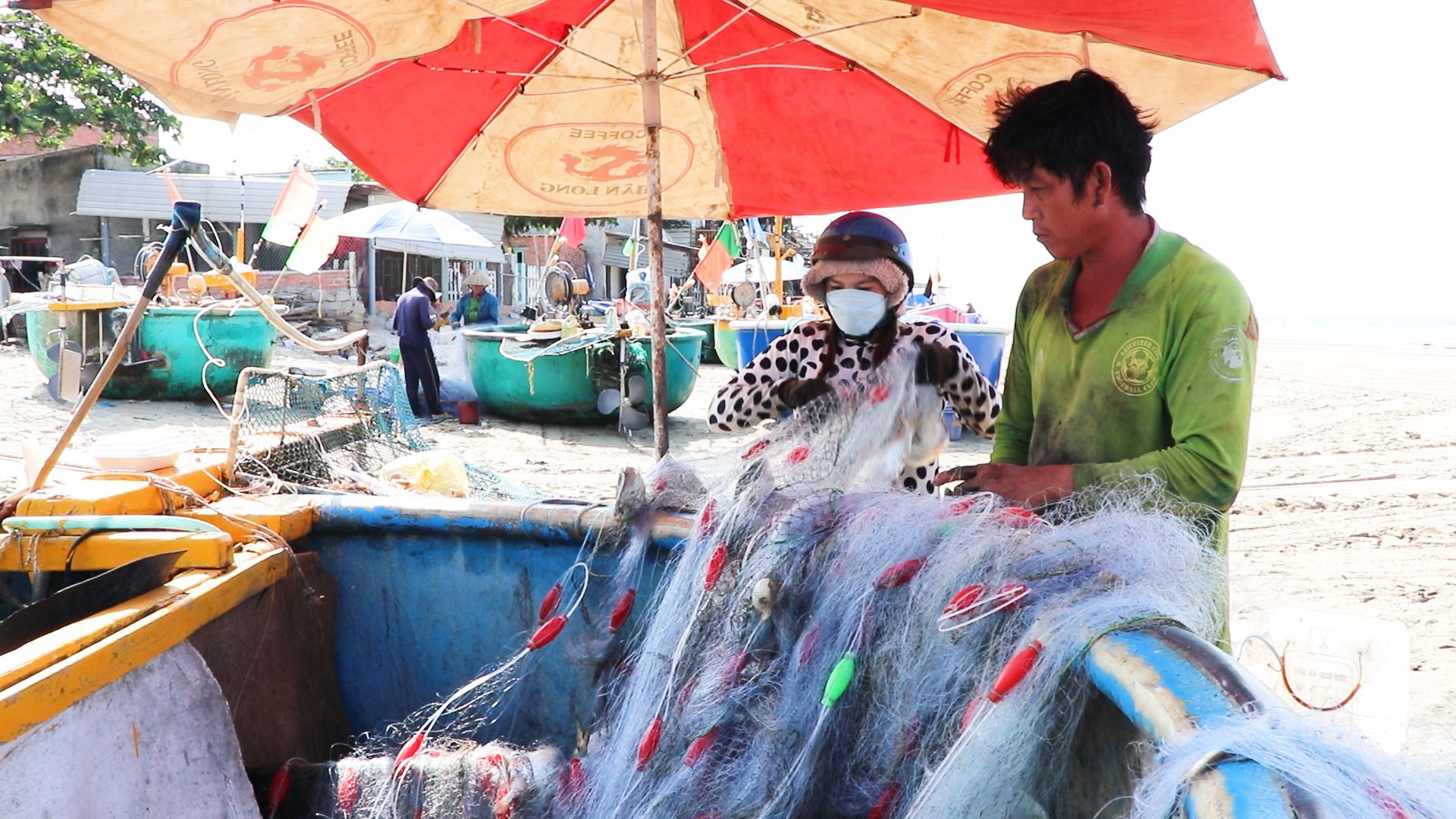 Ngư dân Long Hải kiếm tiền triệu từ nghề lưới thúng