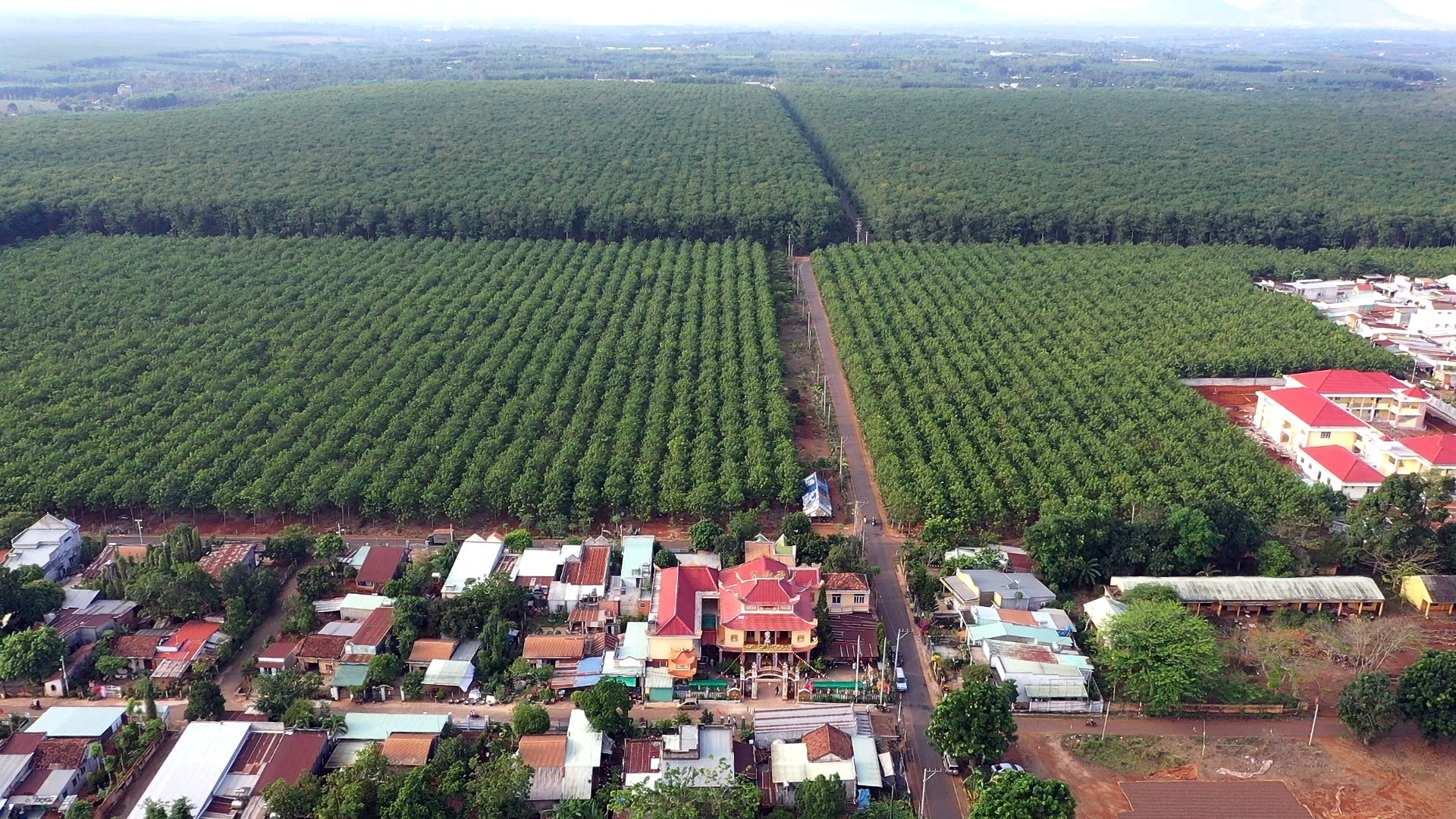 Quang cảnh làng quê xã Cù Bị, huyện Châu Đức. Ảnh: ĐINH HÙNG