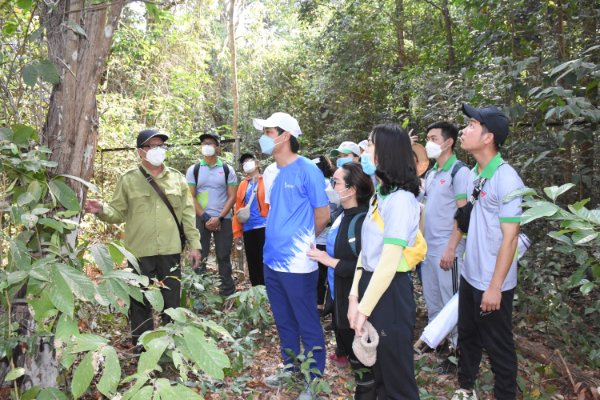 Lãnh đạo và người lao động UPC nghe giới thiệu về các loại cây gỗ quý trong Khu bảo tồn thiên nhiên Bình Châu - Phước Bửu.