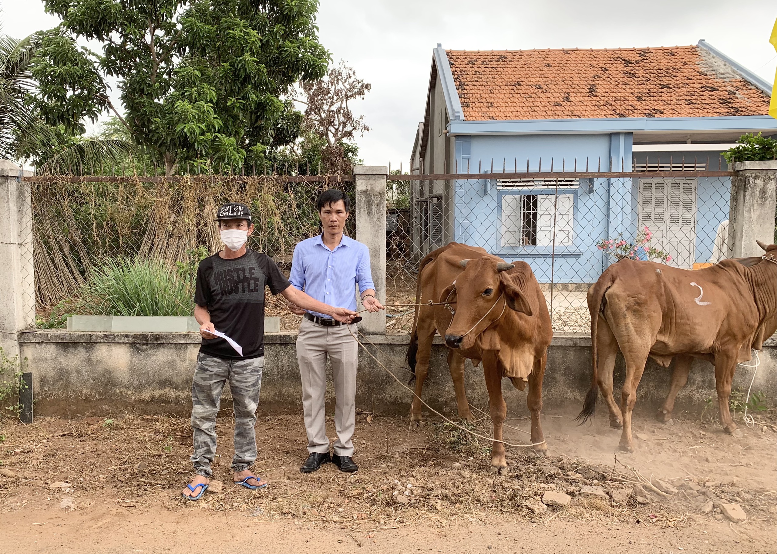 Ông Nguyễn Viết Hội, Chủ tịch UBND xã Bình Giã trao tặng bò giống cho ông Nguyễn Trung Dũng ở ấp Vĩnh An, xã Bình Giã.