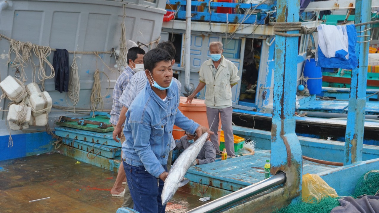 Ngành nông nghiệp tỉnh cũng chú trọng tuyên truyền, hướng dẫn ngư dân khai thác thủy sản theo hướng bền vững: Trong ảnh: Ngư dân thu hoạch cá tại TP. Vũng Tàu.