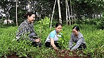 Phụ nữ Kim Long ra quân trồng hoa làm đẹp đường làng, ngõ xóm