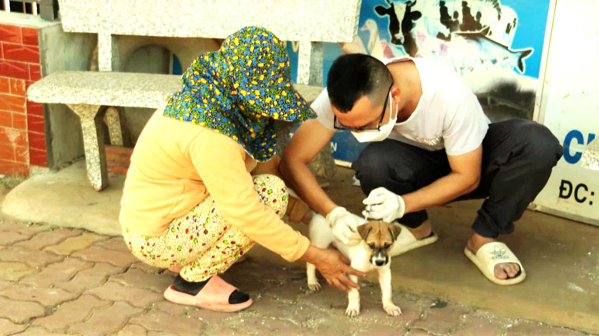 Cán bộ thú y huyện Châu Đức thực hiện tiêm phòng dại cho chó, mèo tại địa phương.