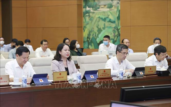 Phó Chủ tịch nước Võ Thị Ánh Xuân tham dự phiên họp. 
