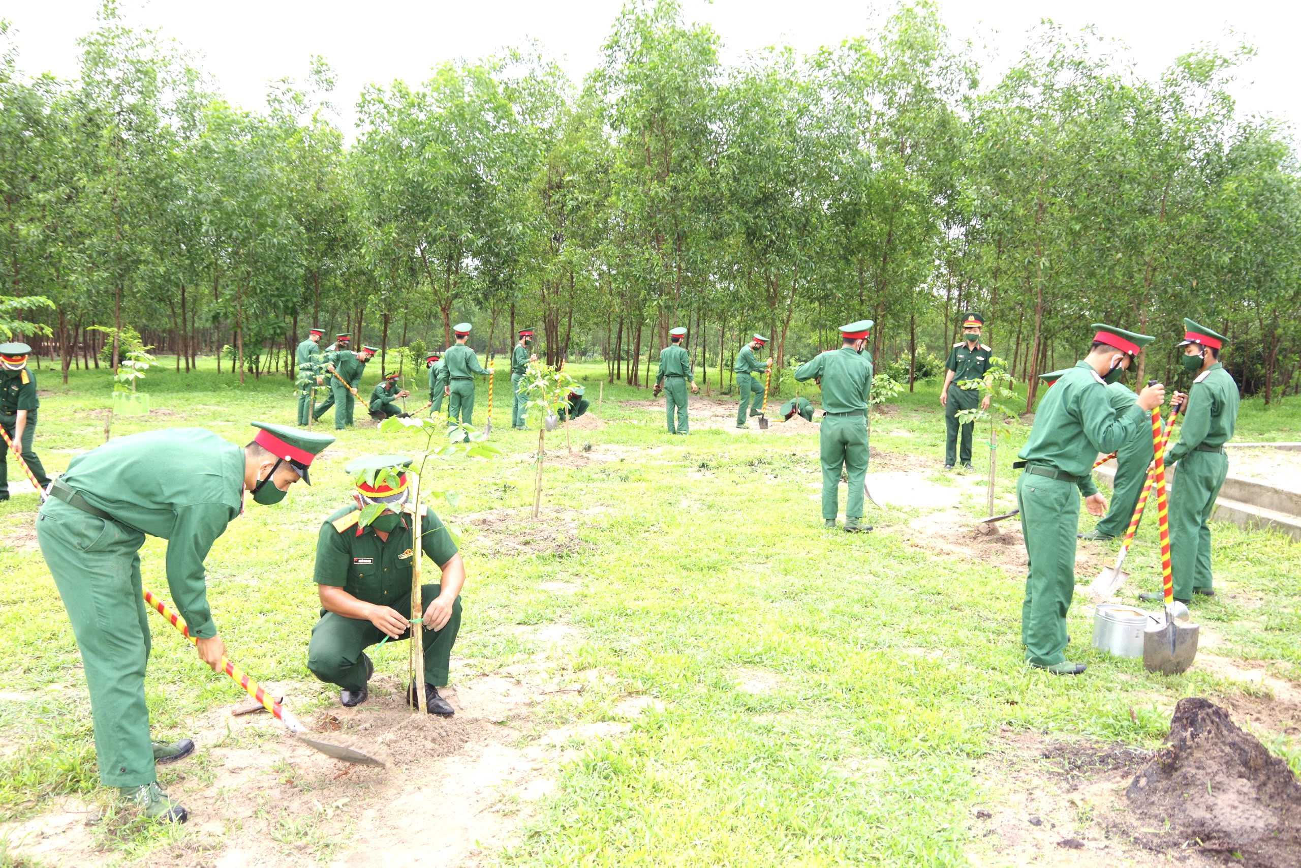Cán bộ, chiến sĩ LLVT tỉnh trồng cây tại Trung đoàn Minh Đạm.