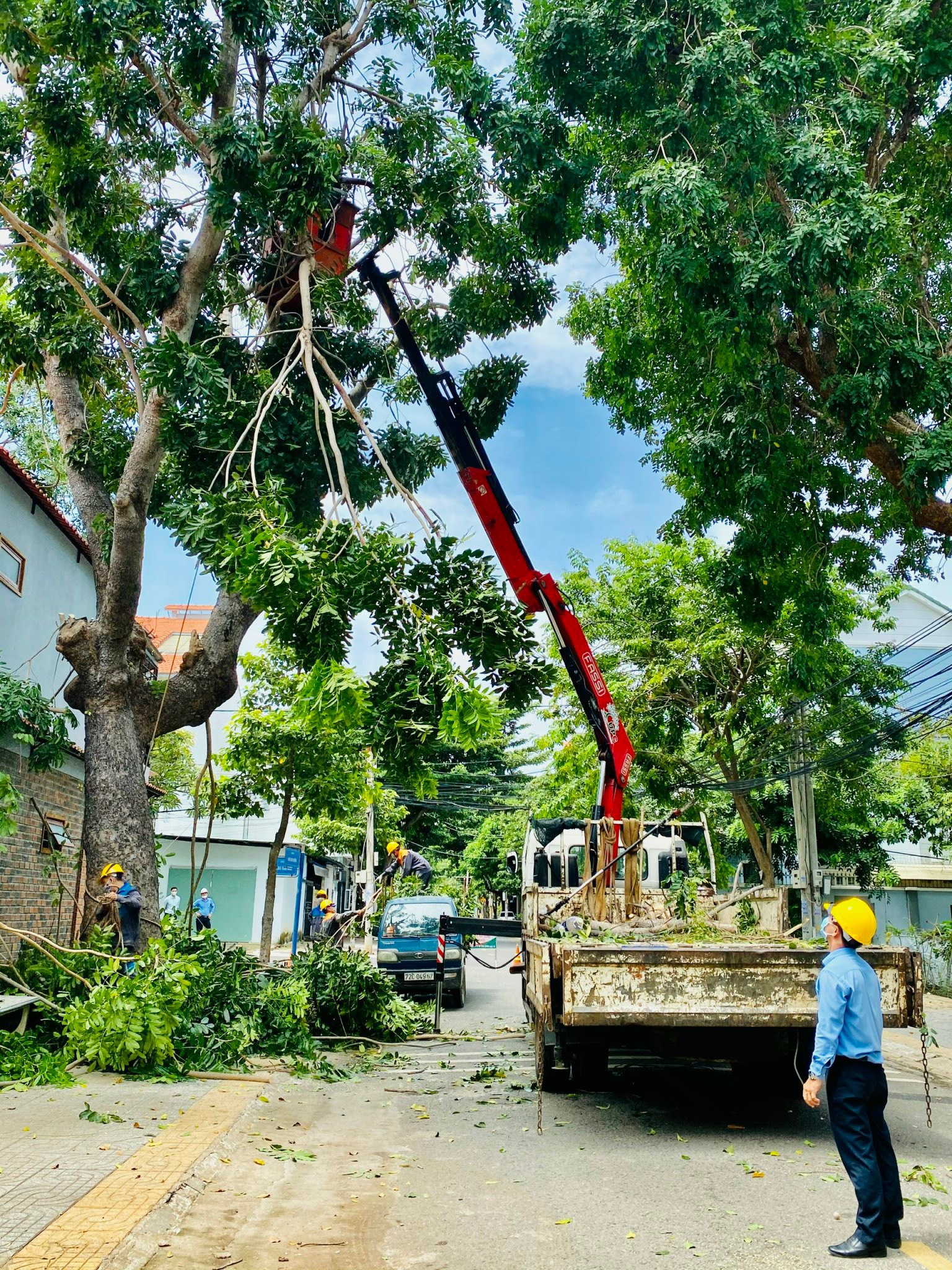 Công nhân UPC cắt tỉa cành nhánh, hạ độ cao cây xanh trên địa bàn phường 9, TP. Vũng Tàu.
