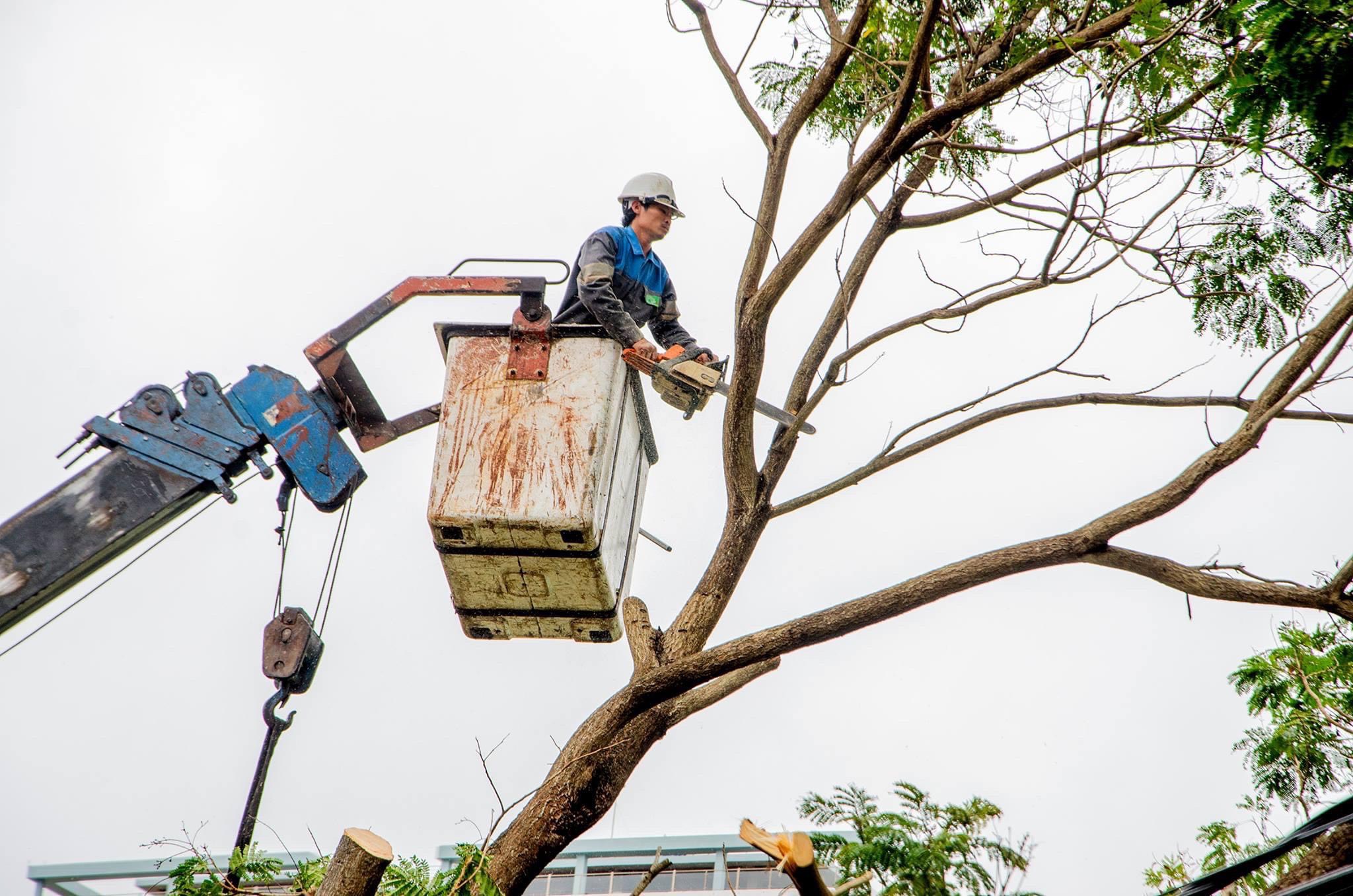 Công nhân UPC giải tỏa cây xanh ngã đổ trên địa bàn TP.Vũng Tàu.