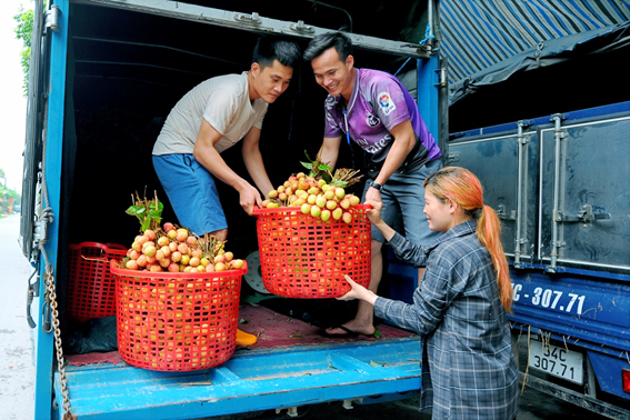 Ngày 25/5, Cơ sở thu mua vải của anh Lê Quý Nam ở xã Thanh Cường (Thanh Hà) xuất khẩu được 20 tấn vải u hồng, giá gần 100.000 đồng/kg.