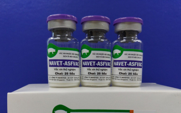 Vắc xin NAVET-ASFVAC của Công ty NAVETCO được phép lưu hành thương mại trong nước và quốc tế. (ảnh: NAVETCO)