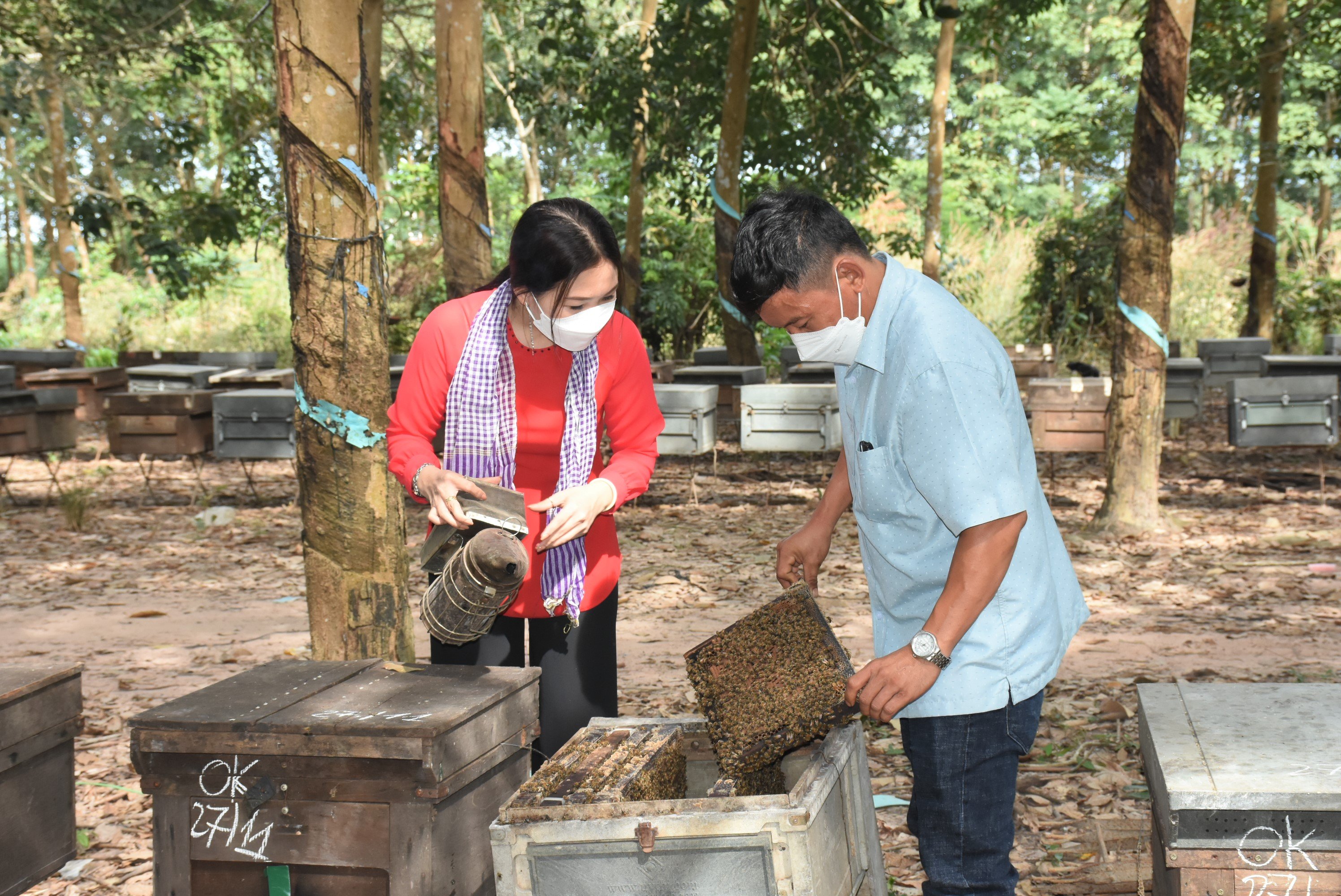 Nhiều biện pháp nhằm nâng cao thu nhập cho người dân được các địa phương trên địa bàn tỉnh triển khai có hiệu quả. Trong ảnh: Mô hình nuôi ong lấy mật tại xã Hoà Hiệp, huyện Xuyên Mộc.