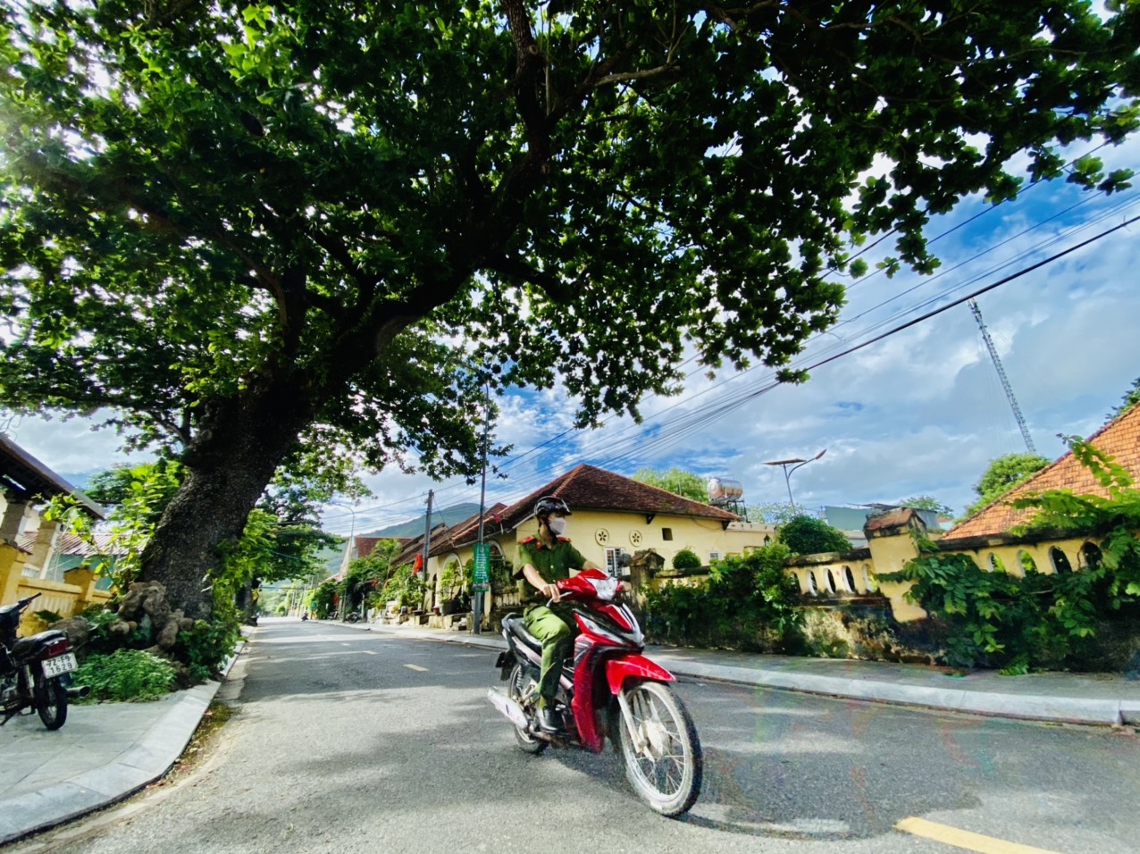 Một đoạn đường rợp bóng cây bàng cổ thụ trên thị trấn Côn Sơn.