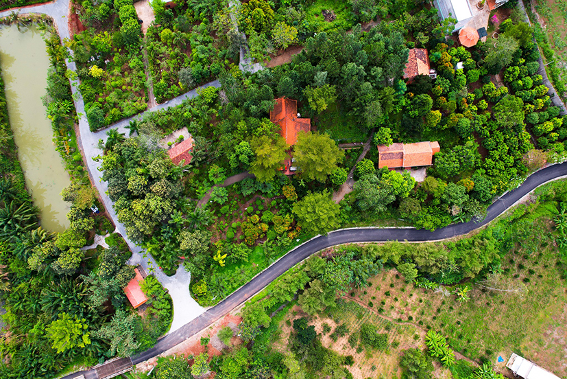 Suối Rao Ecolodge có khoảng 1 triệu cây xanh với hơn 600 loài trong đó có nhiều loài quý hiếm.