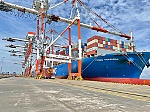 Cảng TCTT đón tuyến dịch vụ PVCS (SEA) của hãng tàu COSCO/OOCL cập cảng
