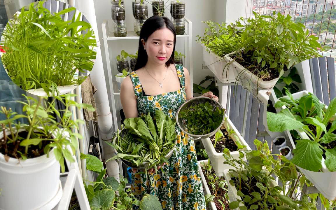 Ảnh có tính chất minh họa.