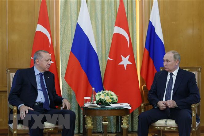 Tổng thống Thổ Nhĩ Kỳ Recep Tayyip Erdogan (trái) trong cuộc hội đàm với người đồng cấp Nga Vladimir Putin tại TP.Sochi, ngày 5/8.