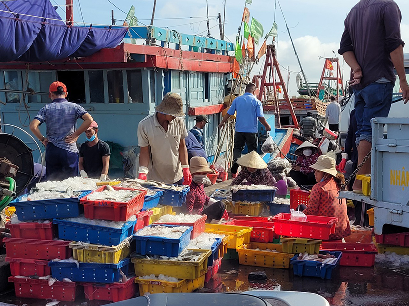 100% chủ tàu cá, thuyền trưởng ký cam kết không đưa tàu cá, ngư dân sang vùng biển nước ngoài để khai thác hải sản trái phép trước khi xuất bến.