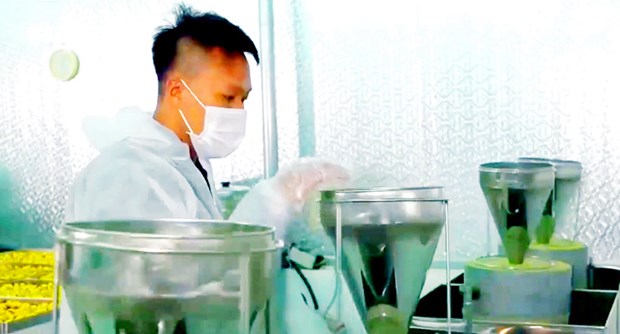 Bột matcha và các sản phẩm mới từ trà hoa vàng được nghiên cứu, sáng tạo để tăng sức cạnh tranh của sản phẩm trên thị trường. (Nguồn: baoquangninh.com.vn)