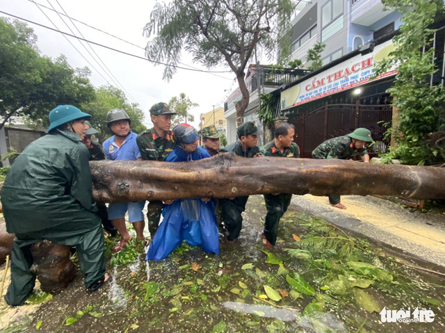 Lực lượng Ban CHQS TP.Hội An dọn dẹp cây cối ngã đổ sau bão.