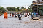 Sẽ khắc phục tình trạng ngập úng tại ấp Hồ Tràm