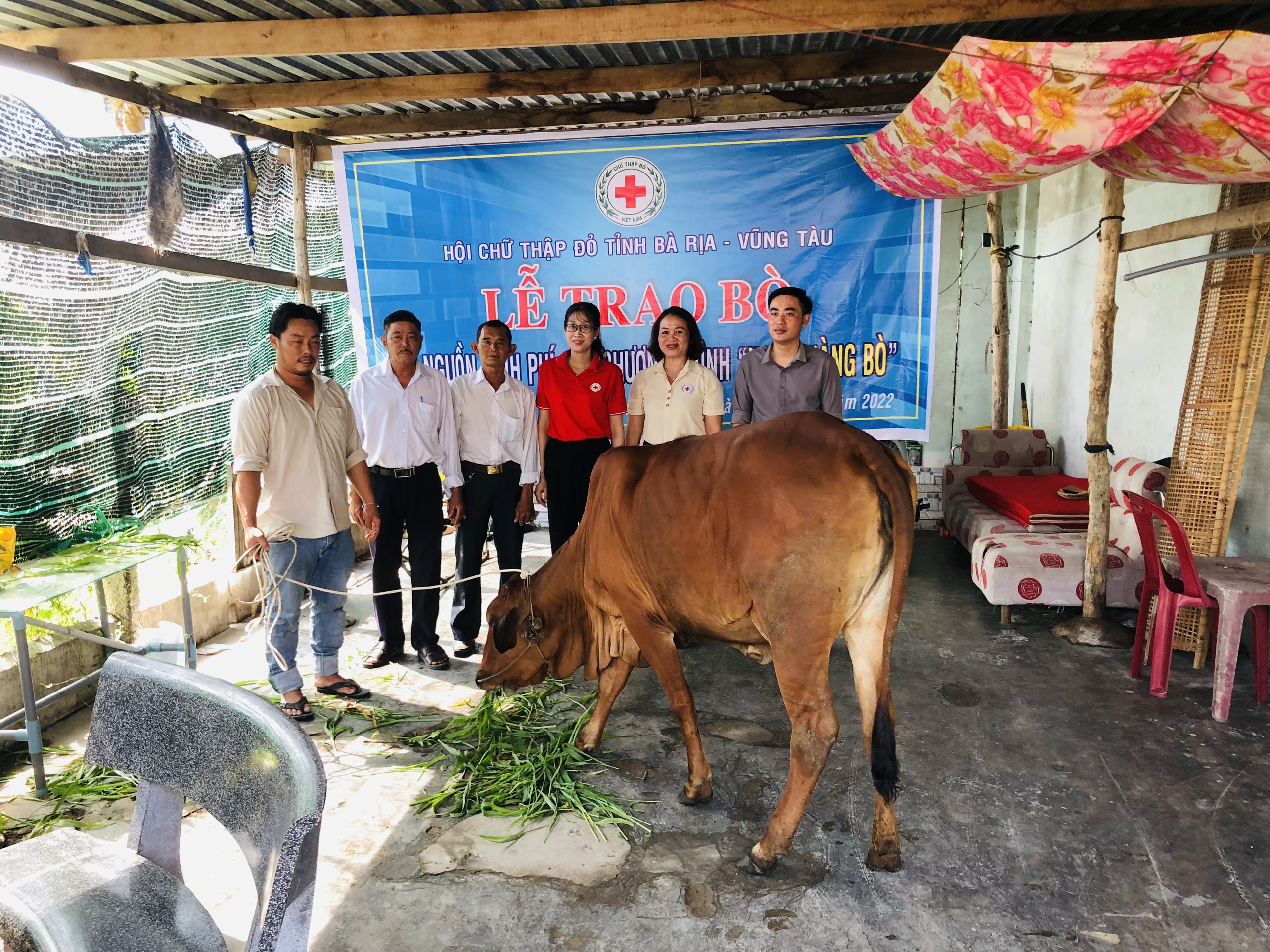 Hội Chữ thập đỏ tỉnh trao bò giống cho  ông Phan Hùng Tuấn.
