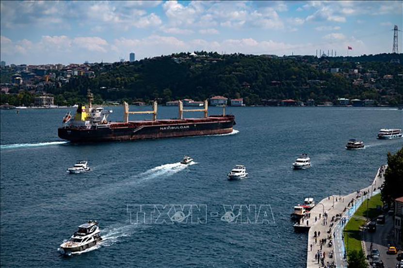 Tàu chở ngũ cốc của Ukraine đi qua Eo biển Bosphorus ở Istanbul, Thổ Nhĩ Kỳ, ngày 7/8/2022.