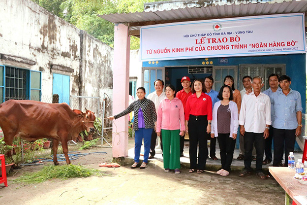 Đại diện Hội Chữ Thập đỏ tỉnh trao bò giống cho gia đình chị Nguyễn Thị Huyền Trang. Ảnh: MINH TÀI