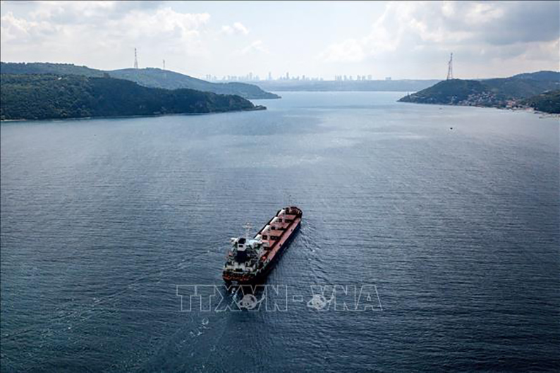 Tàu chở ngũ cốc của Ukraine di chuyển tại Eo biển Bosphorus ở Istanbul, Thổ Nhĩ Kỳ, ngày 7/8/2022.