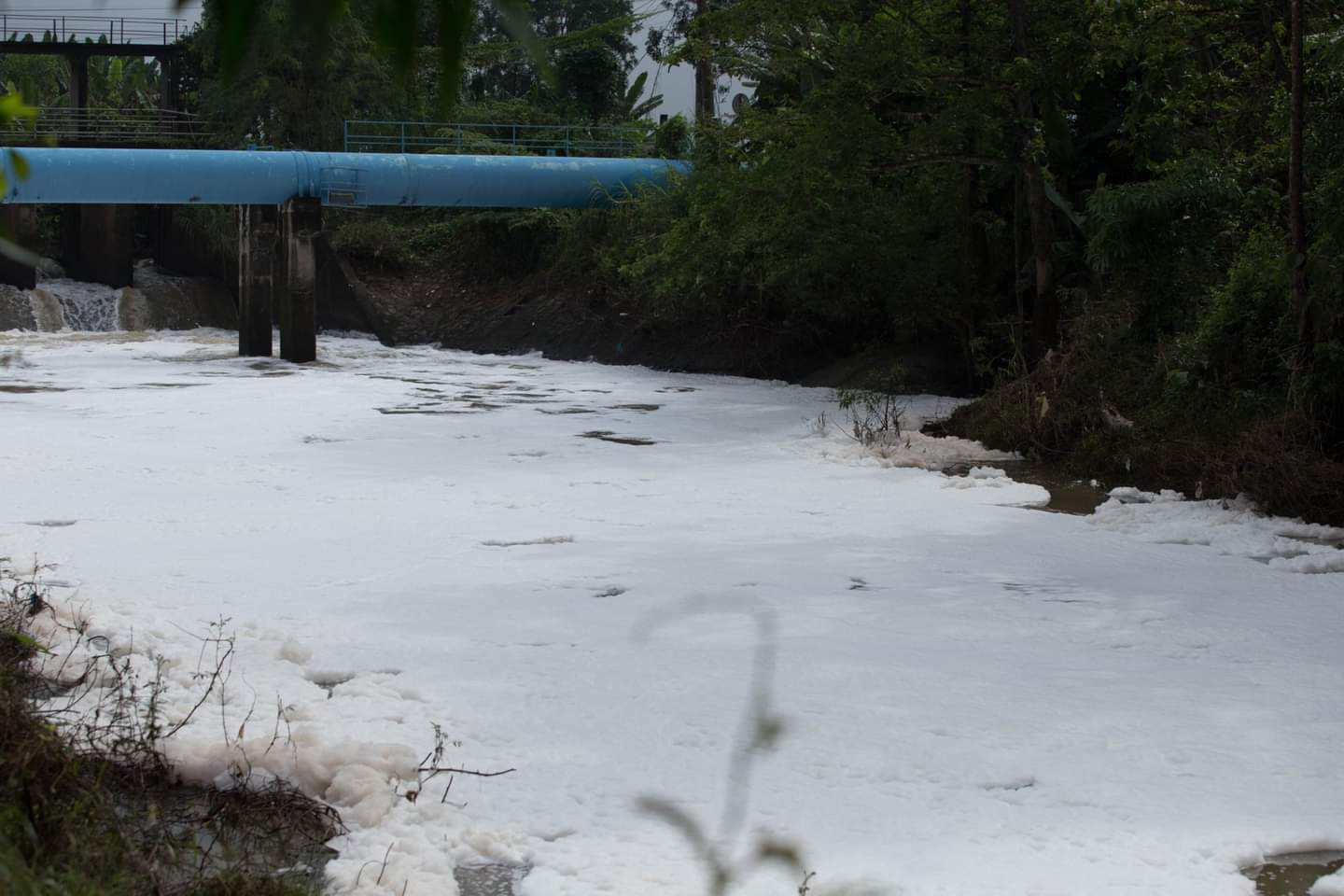 Đập cầu Đỏ trên sông Dinh đi qua địa bàn TP. Bà Rịa xuất hiện bọt trắng xóa vào ngày 2/11. Ảnh: MINH ROSE
