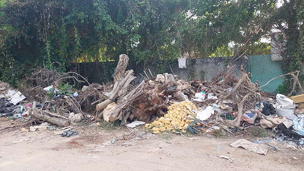 Rác thải với đủ thể loại từ xà bần, gốc cây đến rác công nghiệp đều được đổ trộm trên đường Rạch Bà 1.