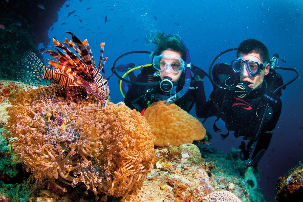 Khách du lịch lặn ngắm san hô tại vùng biển Côn Đảo.