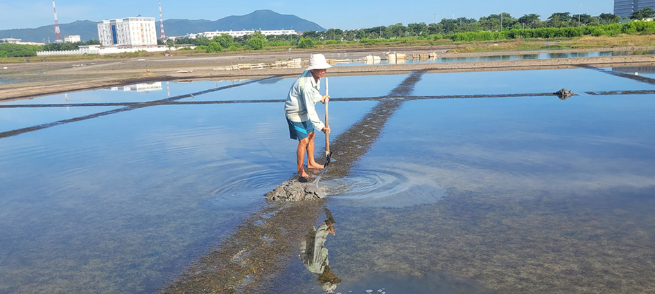 Dù đã vào vụ sản xuất hơn một tháng nhưng hiện diêm dân xã An Ngãi, huyện Long Điền mới dọn ruộng, kéo sình để làm niên vụ muối 2022-2023.