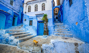 “Viên ngọc xanh” - Chefchaouen, nơi mọi bức tường và đồ vật đều có cùng tông màu. Ảnh: Lonely Planet.