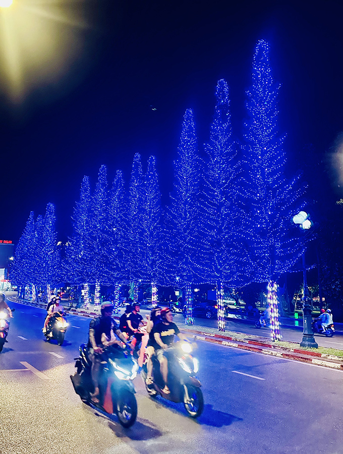 Hàng cây tùng bách được trang trí lung linh, nổi bật chào đón Giáng sinh tại đường Quang Trung (TP.Vũng Tàu).