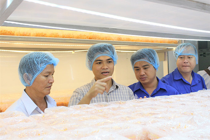 Anh Trần Tài, Giám đốc Công ty TNHH Nấm sinh học Việt Nam - VINABIOMUSH (thứ hai từ trái qua) chia sẻ quá trình nuôi trồng nấm đông trùng hạ thảo công nghệ cao cho ĐVTN.