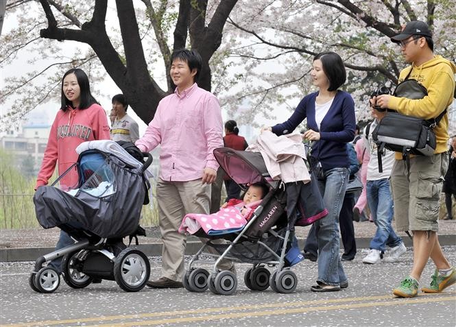 Người dân đi dạo trong công viên ở Seoul, Hàn Quốc.