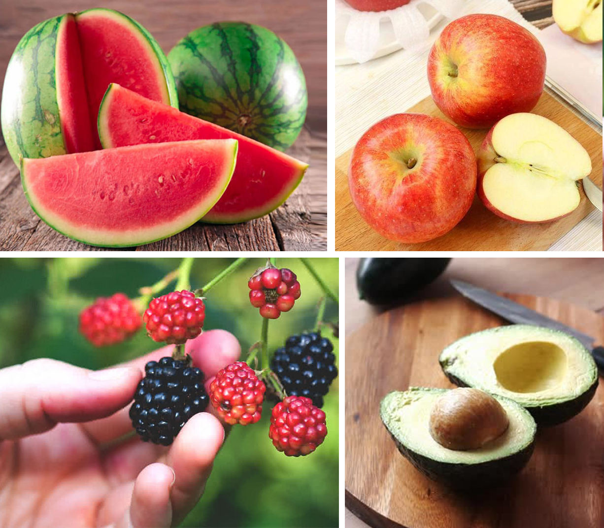 Dưa hấu, táo, mâm xôi và bơ là những loại trái cây tốt cho giảm cân.