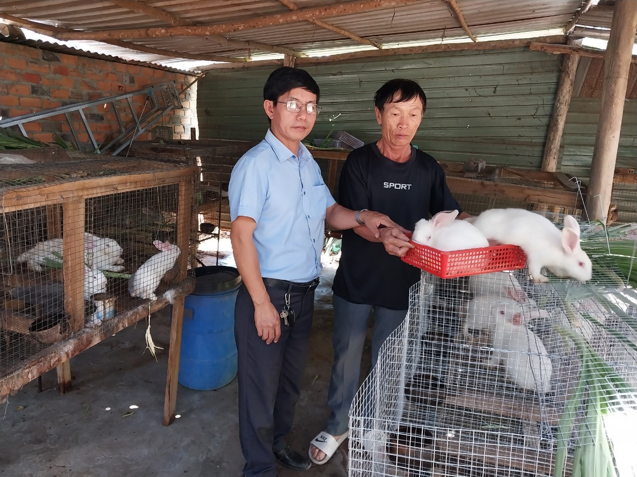Ông Lê Văn Trung (trái), Chủ tịch Hội Nông dân xã Hòa Hội (huyện Xuyên Mộc) trao thỏ giống cho hộ ông  Võ Xuân Hải.